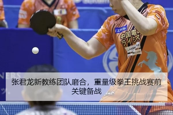 张君龙新教练团队磨合，重量级拳王挑战赛前关键备战