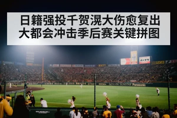baseball stadium night game